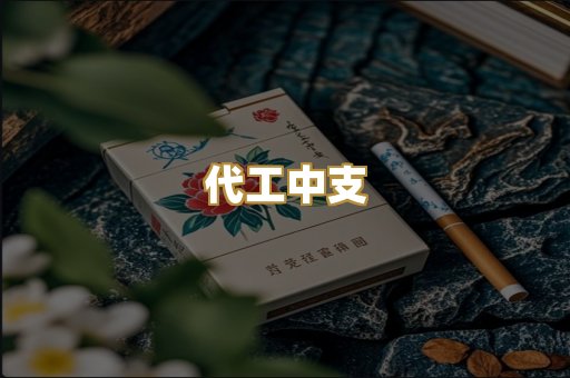 代工中支